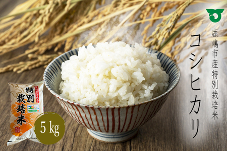 鹿嶋市の子どもたちが食べている特別栽培米コシヒカリ(5kg×1袋)(KBS-1)