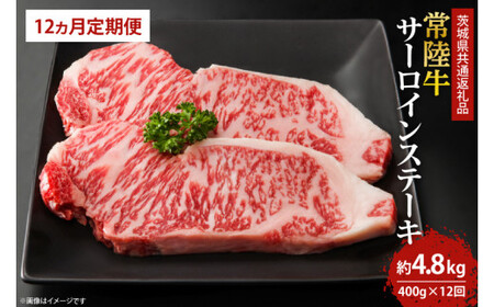 y12ցzō̏헤ŃfBi[y݂ 헤T[CXe[L200×2@12 (KCW-4)