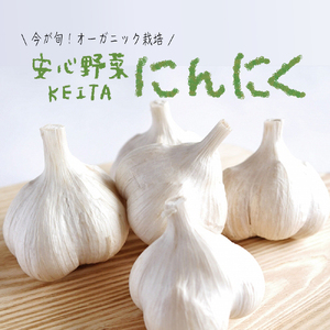 旬の安心野菜「有機にんにく約1kg(バラ)」(KAX-11)