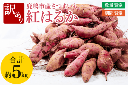 [訳あり]紅はるか約5kg[さつまいも サツマイモ 紅はるか 茨城県 鹿嶋市 10000円以下](KAM-21)