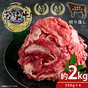 ō헤 ؂藎 2kgi500×4)y Y јa a Yјa uh uh  A4N A5N Ă ₫  s  錧z(KCW-19)