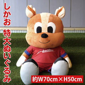 しかお特大ぬいぐるみ[鹿島アントラーズ グッズ サッカー エフシー ぬいぐるみ シカオ 茨城県 鹿嶋市](KH-60)