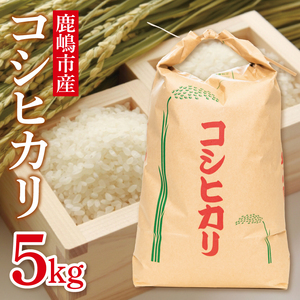 [先行予約]コシヒカリ5kg 鹿嶋市産[こしひかり 米こめコメ茨城県 鹿嶋市 15000円以内](KDS-1)