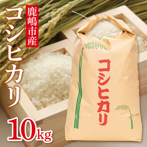 [先行予約]コシヒカリ10kg 鹿嶋市産[こしひかり 茨城県 鹿嶋市 30000円以内](KDS-2)