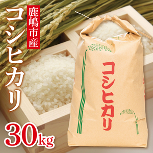 [先行予約]コシヒカリ30kg 鹿嶋市産[こしひかり 米こめコメ茨城県 鹿嶋市 75000円以内](KDS-3)