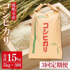 [先行予約][定期便]コシヒカリ5kg×3回 鹿嶋市産[こしひかり米こめコメ 茨城県 鹿嶋市 15000円以内](KDS-4)