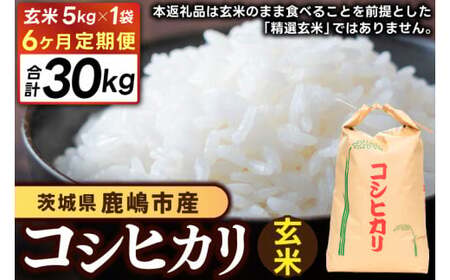 【先行予約】【6ヶ月定期便】 茨城県 鹿嶋市産 厳選 コシヒカリ 玄米 5kg×6回 (KDS-16)