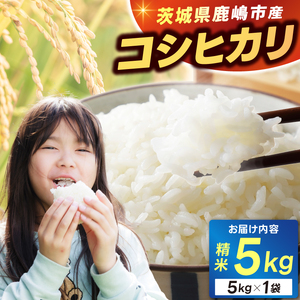 新米 令和7年★ 米 精米 白米 5kg「こしひかり」先行予約 鹿嶋市産[令和7年産 コシヒカリ 5キロ お米 コメ ごはん ライス ブランド米 茨城県 鹿嶋市](KEJ-1)