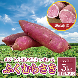[先行予約]ポテト小屋の生さつまいも ふくむらさき 計 約5kg(4kg+約25%補償分)[鹿嶋市 減農薬 熟成 貯蔵 サツマイモ 紫いも 甘い 5キロ 10000円以内 1万円以内] (KBR-12)