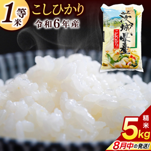 1等米★ コシヒカリ 5kg (5kg × 1袋)[令和6年産]米 精米 白米 こしひかり 茨城県 鹿嶋市 国産 送料無料 お米 ごはん おにぎり 冷めても 美味しい 粘り うまみ 厳選 出荷直前精米 ツヤ かおり うまい(KY-19)