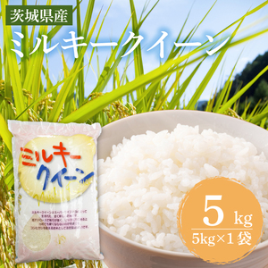 茨城県産ミルキークイーン 5kg (5kg×1袋) [米 お米 白米 精米 おにぎり 茨城県産 鹿嶋市 国産 送料無料] (KY-23)