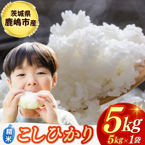 ߘa7NYā  RVqJ  5kg sYyЂ  R ͂ CX uh 錧 s 15000~ȓz(KBR-20)