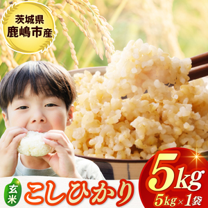 ߘa7NYā  RVqJ  5kg sYyЂ  R ͂ CX uh 錧 s 15000~ȓz(KBR-21)