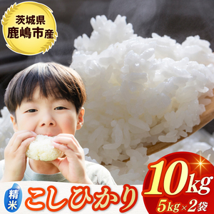 ߘa7NYā  RVqJ  10kg (5kg×2) sYyЂ  R ͂ CX uh 錧 s 30000~ȓz(KBR-22)