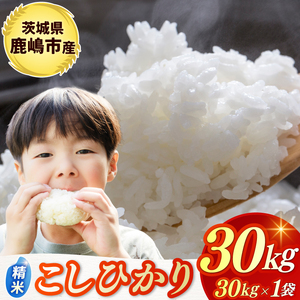 ߘa7NYā  RVqJ  30kg sYyЂ  R ͂ CX uh 錧 s 80000~ȓz(KBR-24)