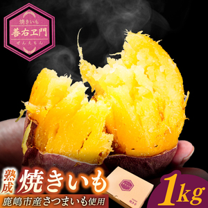 期間限定★ 熟成焼きいも 善右ヱ門 「 特製 焼き芋 1kg 」熟成 焼きいも 焼芋 やきいも さつまいも サツマイモ いも 人気 茨城県 鹿嶋市 (KEL-1)