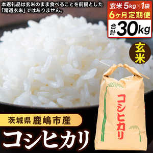先行予約 令和8年産★[6ヶ月定期便] 米 コシヒカリ 5kg × 6回 (玄米) 鹿嶋市産[お米 こしひかり 茨城県 鹿嶋市 90000円以内](KDS-30)