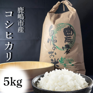 [令和7年産]安心安全のお米!特別栽培米コシヒカリ(5kg)[茨城県 お米 こしひかり 産地直送 おいしい ごはん ](KAV-5)