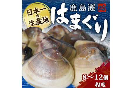 KM-2　鹿島灘はまぐり　蛤　はまぐり　ハマグリ　海産物　海鮮　産地直送　送料無料　バーベキュー　肉厚　大粒