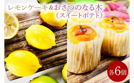 レモンケーキ&おさつのなる木(スイートポテト)(KD-14)