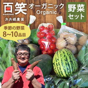 百笑オーガニック野菜セット(8〜10品目)