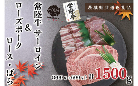 y錧ʕԗizy헤A5NE[Y|[NXe[LēZbgz헤T[C900i300×Rj{[Y|[N600i[X300E΂300jiKCK-60j