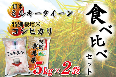 新米ミルキークイーンと特別栽培米コシヒカリ食べ比べセット 鹿嶋市 おいしい おこめ ごはん コメ 白ご飯
