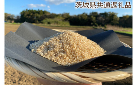 [できるだけ農薬を減らした]こしひかり 玄米10kg[茨城県共通返礼品・行方市産]KBE-30