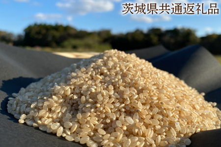 [栽培期間農薬不使用]こしひかり 玄米5kg[茨城県共通返礼品・行方市産]