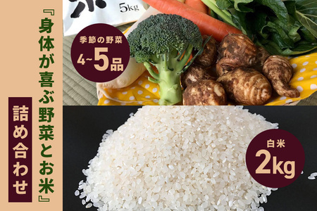 [白米 2kg]『身体が喜ぶ野菜とお米』詰め合わせ おまかせセット 茨城県産 コシヒカリ 米 お米 ご飯 ごはん 栽培期間中農薬不使用 季節の野菜 セット 微生物農法 EM農法 有機栽培 産地直送 新鮮 家庭用 潮来はぐくみのもり 茨城県 潮来市 (A03-006)