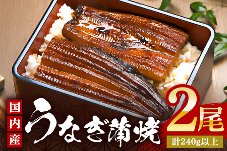 やわらか国内産 うなぎ蒲焼 満足サイズ! 120〜140g 2尾 計240g以上 ふっくら蒲焼き ブランド鰻使用 秘伝のタレ・山椒付き 湯煎で簡単調理 うな丼 ちらし寿司 贈答用 ギフト 冷蔵配送 国産 茨城県 潮来市 (A23-012)