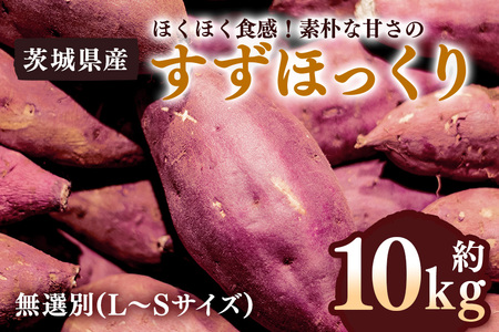 ܂ ق 10kg I (L`STCY) 錧Y zNzN H Ă VՂ w Ƃ G R̊Â  Tc}C 錧 s (A52-002)