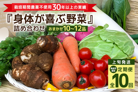 [発送月固定定期便]『身体が喜ぶ野菜』詰め合わせ ( おまかせ 10〜12品) 定期便 野菜 詰合せ 上旬発送全10回 詰め合わせセット お任せ 季節の セット 有機栽培 EM農法 産地直送 ボックス ギフト 家庭用 茨城県 潮来市 (A03-020)