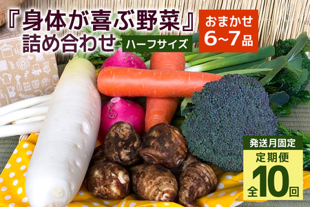 [発送月固定定期便]『身体が喜ぶ野菜』詰め合わせ ( おまかせ ハーフサイズ) 定期便 野菜 詰合せ 全10回 詰め合わせセット お任せ 季節の セット 有機栽培 EM農法 産地直送 新鮮 ボックス ギフト 家庭用 茨城県 潮来市 (A03-022)