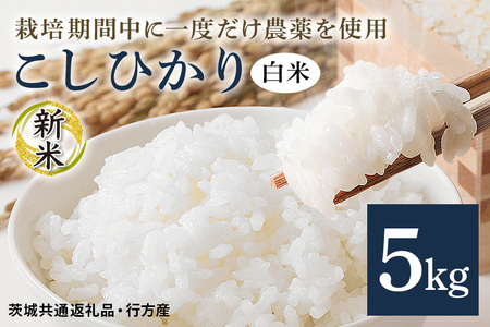 令和7年産新米 白米 5kg 栽培期間中できるだけ農薬を減らした[ こしひかり] 茨城県産 米 お米 コメ ご飯 コシヒカリ 食味豊か 甘み 旨み 冷めても 美味しい お弁当 向け 食卓常備 産地直送 茨城県 潮来市 [茨城県共通返礼品・行方市産] (A03-016)