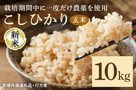 令和7年産新米 玄米 10kg 栽培期間中できるだけ農薬を減らした＜ こしひかり＞ 茨城県産 米 お米 コメ ご飯 コシヒカリ 食味豊か 甘み 旨み 冷めても 美味しい お弁当 向け 食卓常備 産地直送 茨城県 潮来市 ＜茨城県共通返礼品・行方市産＞ (A03-019)