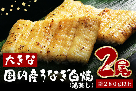 傫ȍYȂ() 140`160g 2 v280gȏ Ȃ V EiM     ^ R t ȒP p Mtg j yp̉N̓ ① Y 錧 s (A23-030)