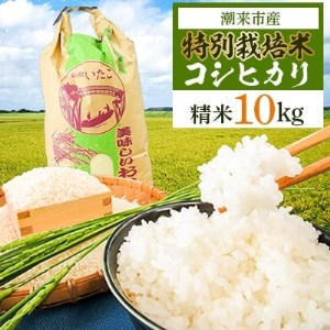 【令和4年産】特別栽培米コシヒカリ精米10kg【1241167】
