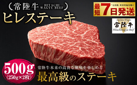 [常陸牛]ヒレステーキ 250g×2枚 | 計500g 牛肉 肉 お肉 ヒレ ステーキ 冷凍 茨城県 守谷市