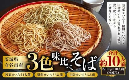 3色 味比べそば各100g×10人前(冷凍生)(若葉せいろう4人前・韃靼せいろう3人前・田舎せいろう3人前) | そば 10人前 10食 セット 麺 麺類 辛汁 冷凍 茨城県 守谷市