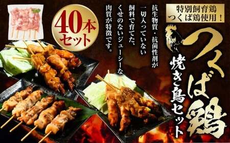 ���Ό{ �Ă����Z�b�g 40�{ �Ă��� �Ē� ������ �l�M�� �l�M�� �{�� ���� �� ���Ă� ��錧 ��J�s