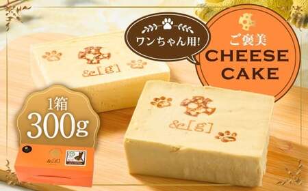 ワンちゃん用!ご褒美 cheese cake | ペット デザート スイーツ お菓子 洋菓子 菓子 冷凍 犬 ドッグ dog チーズケーキ チーズ ケーキ
