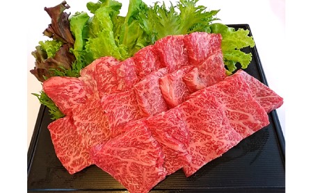 常陸牛カルビ焼肉 500g お肉 肉 牛肉 焼肉 焼き肉 カルビ バーベキュー BBQ 焼肉用 焼き肉用 アウトドア 冷凍 茨城県 守谷市 ※沖縄県・離島への配送不可