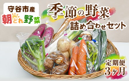 [定期便]季節の野菜セット定期便