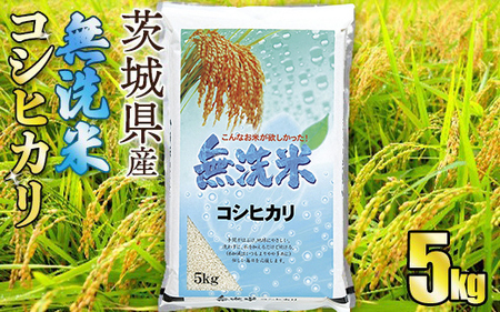 【無洗米】令和7年産茨城コシヒカリ 5kg