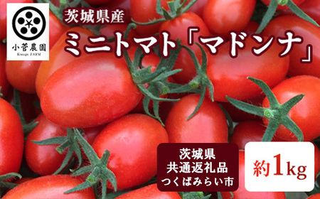 ~jg}g }hi 1kgy錧ʕԗi ΂݂炢sYz g}g v`g}g   { 󏭕i 錧   2026N1{菇\