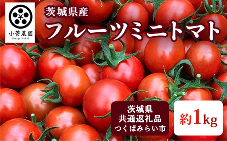 t[c~jg}g 1kgy錧ʕԗi ΂݂炢sYz g}g v`g}g ~jg}g t[cg}g   { 󏭕i 錧   2026N1{菇