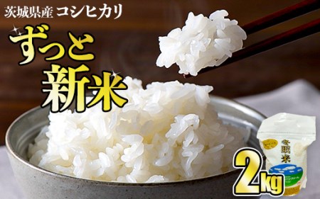 令和6年産 コシヒカリ 冬眠米 2kg 茨城県産 白米 精米 ごはん お米 冬眠 とうみんまい ブランド米 検査米 単一原料米 国産 守谷市 送料無料