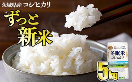 令和6年産 コシヒカリ 冬眠米 5kg 茨城県産 白米 精米 ごはん お米 冬眠 とうみんまい ブランド米 検査米 単一原料米 国産 守谷市 送料無料