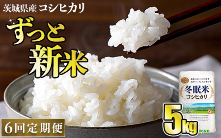 【6回定期便】令和6年産 コシヒカリ 冬眠米 5kg×6回 計30kg 定期便 茨城県産 白米 精米 ごはん お米 冬眠 とうみんまい ブランド米 検査米 単一原料米 国産 守谷市 送料無料